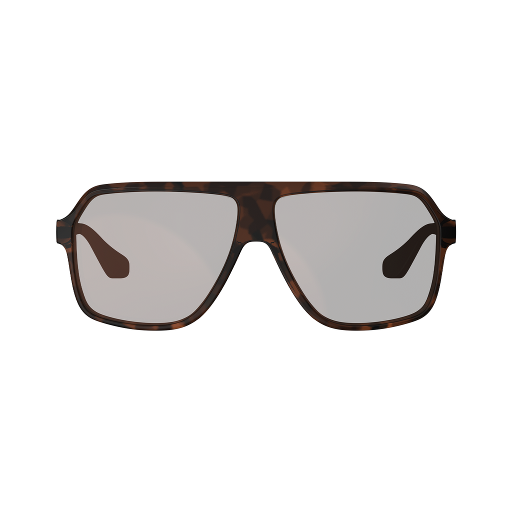 Sunglasses TheViz Andes S2