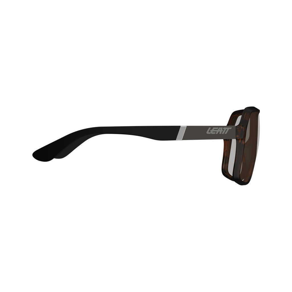 Sunglasses TheViz Andes S2