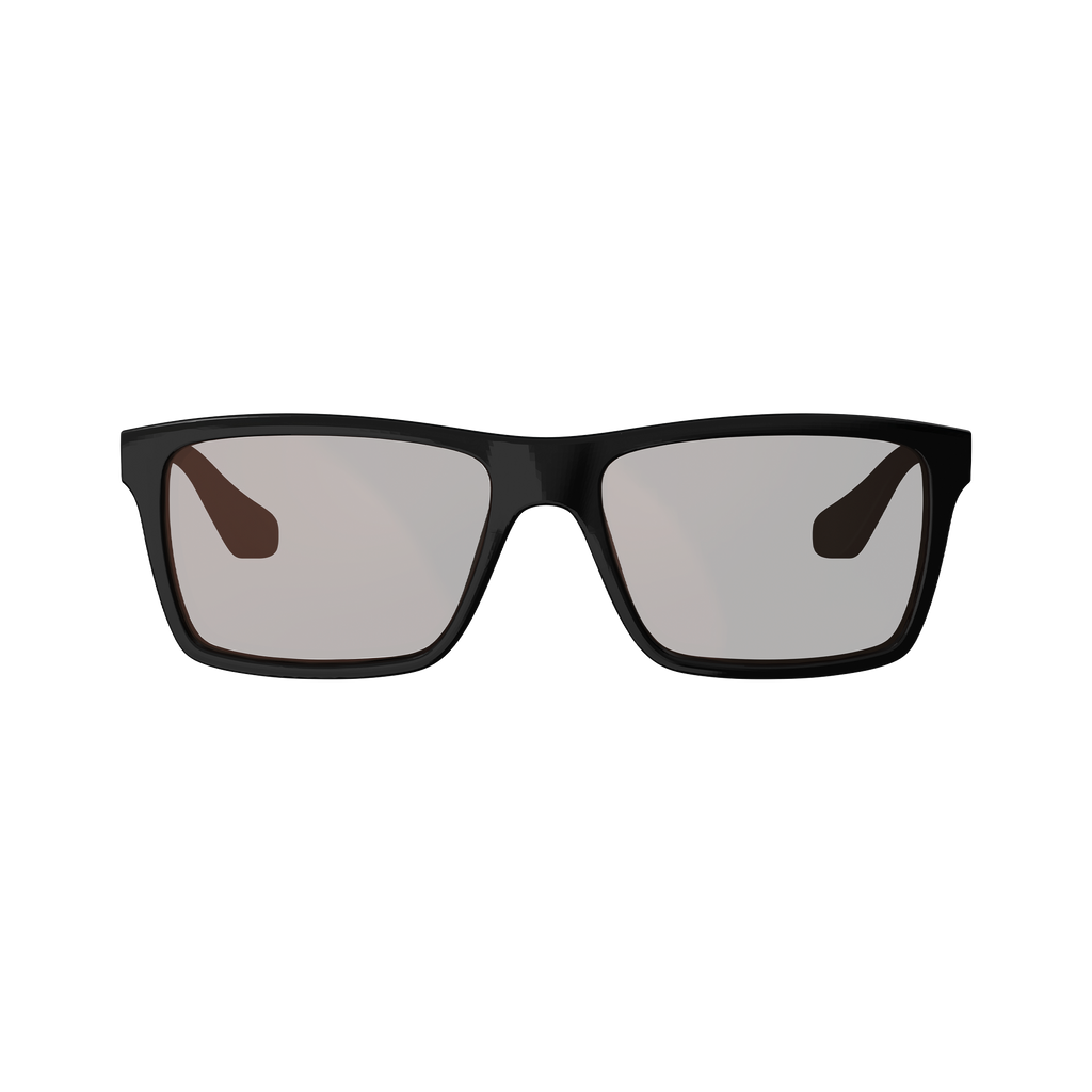 Sunglasses TheViz Sierra L1