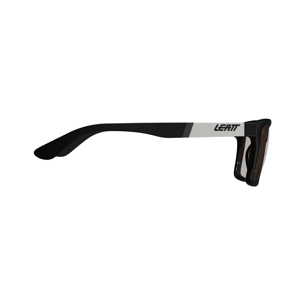 Sunglasses TheViz Sierra L1