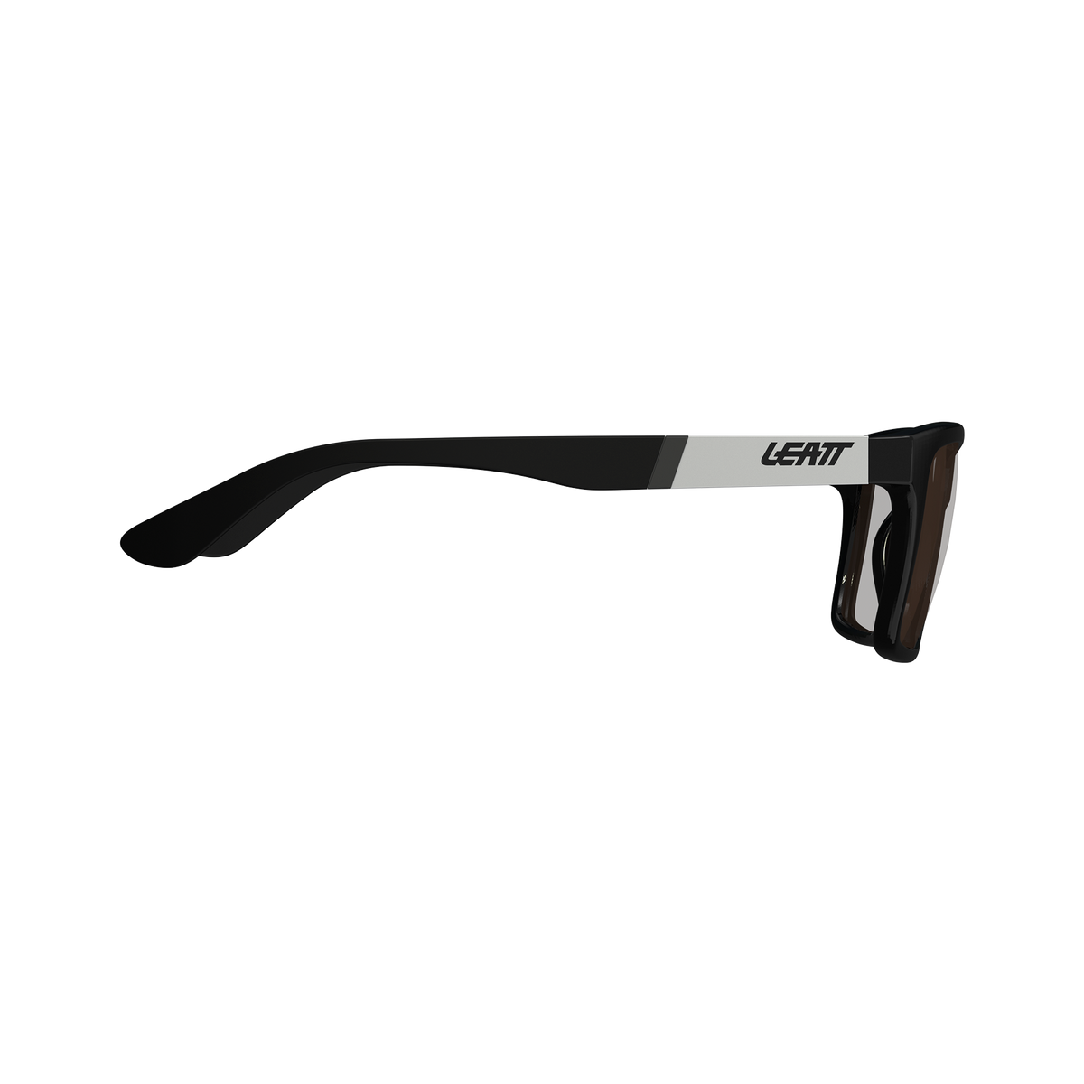 Sunglasses TheViz Sierra L1