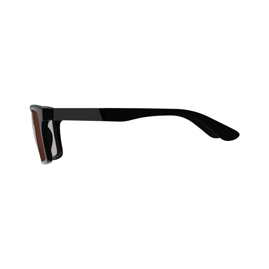 Sunglasses TheViz Sierra L1