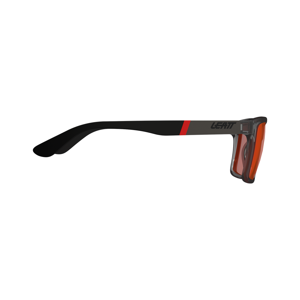 Sunglasses TheViz Sierra L1