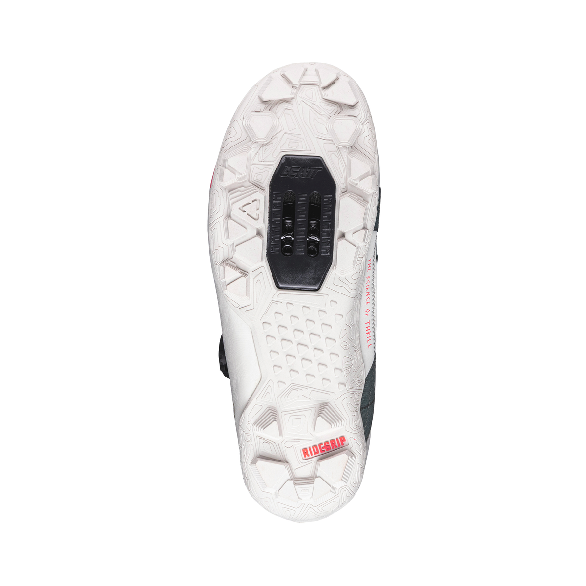 Shoes ProClip 8.0 Endurance - Women P5