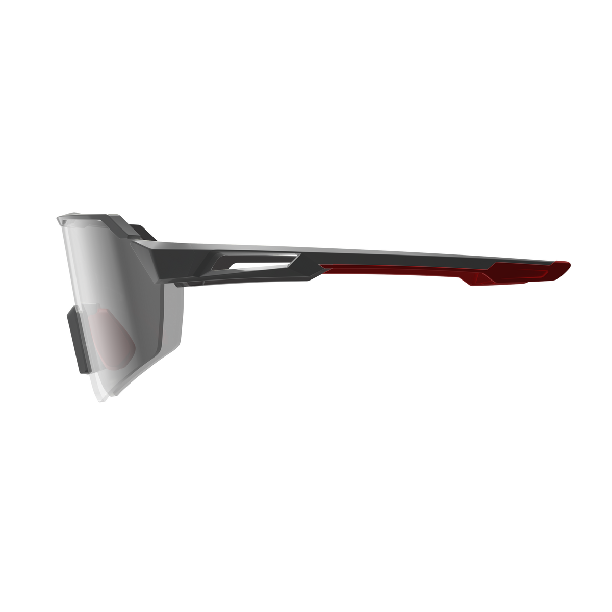 Sunglasses RideViz Lite D5