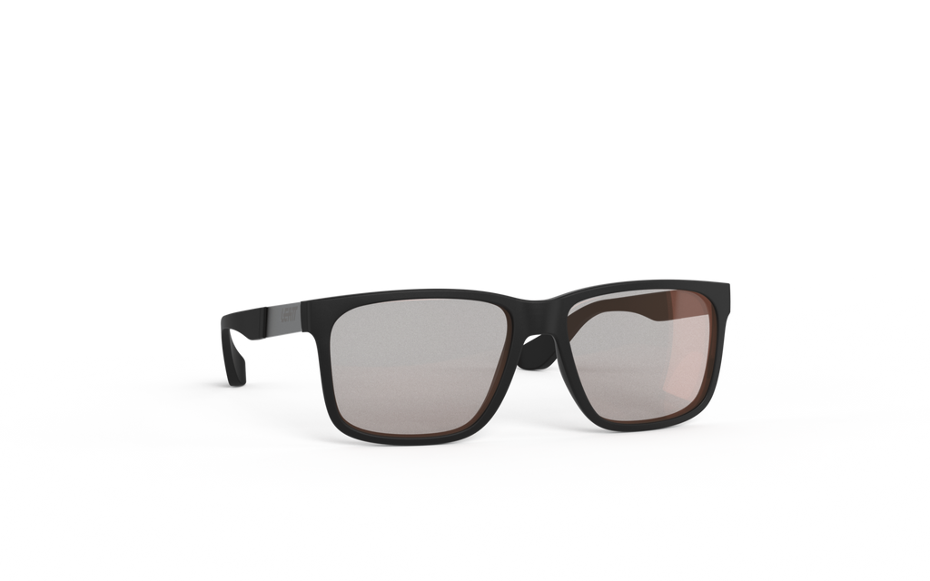Sunglasses TheViz Sierra L1