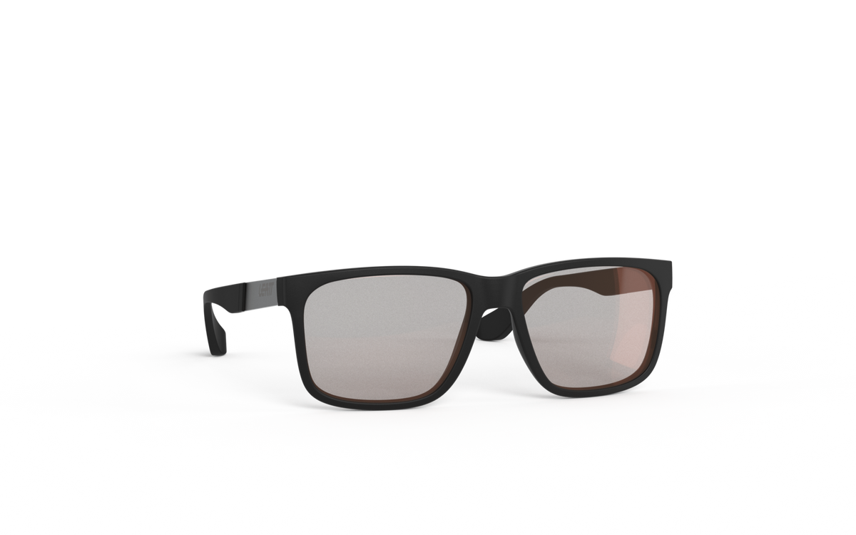 Sunglasses TheViz Sierra L1